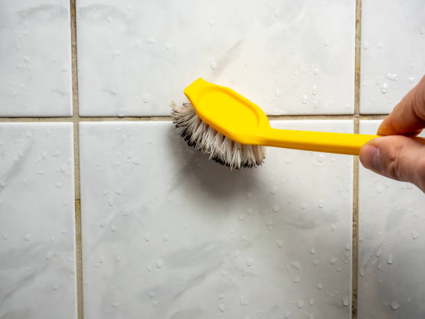 Best Same-Day Mold Removal  in Umatilla, OR