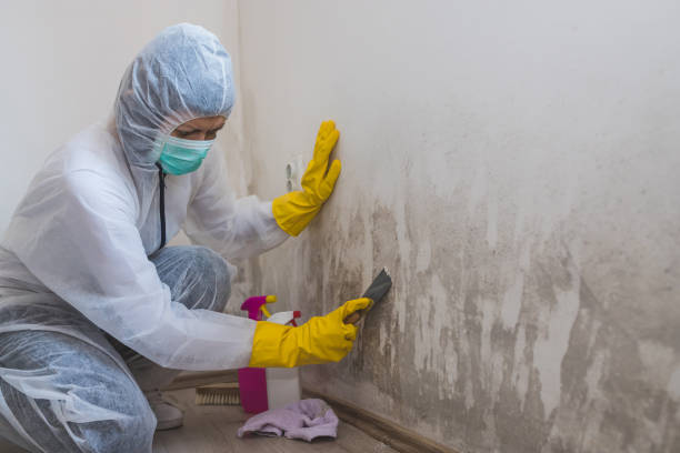 Best Residential Mold Removal  in Umatilla, OR