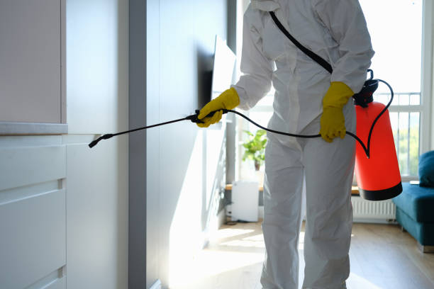 Best Professional Mold Removal  in Umatilla, OR