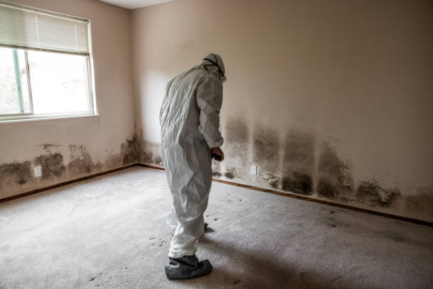 Best Professional Mold Removal  in Umatilla, OR